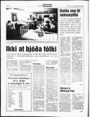 Síða 6