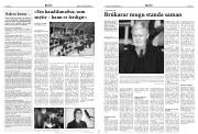 Síða 8