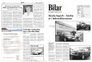 Síða 9