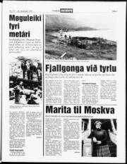 Síða 3
