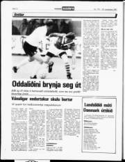 Síða 12