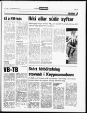 Síða 13