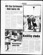 Síða 4