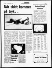 Síða 11