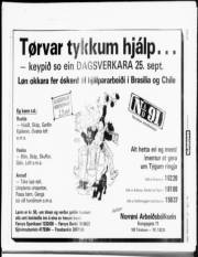 Síða 20