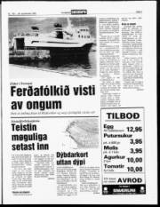 Síða 3