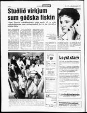 Síða 4