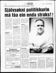 Síða 8