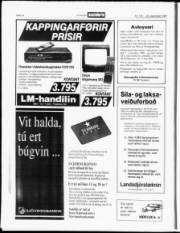 Síða 13