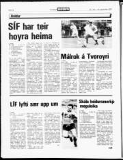 Síða 17