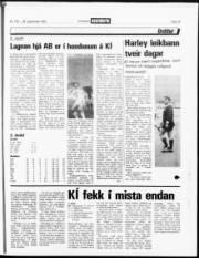 Síða 18