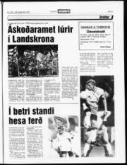 Síða 20