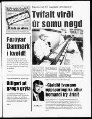 Síða 1