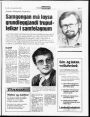 Síða 11