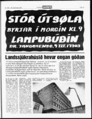 Síða 13