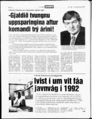 Síða 14