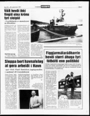 Síða 3