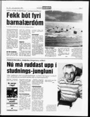 Síða 7