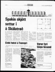 Síða 8