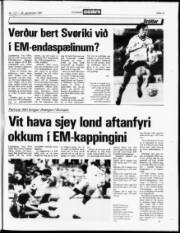 Síða 13