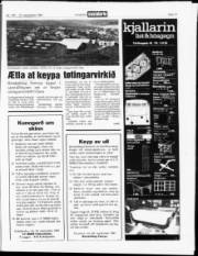 Síða 17