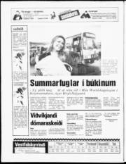 Síða 20