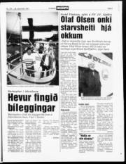 Síða 3