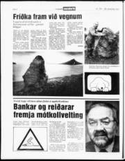 Síða 4