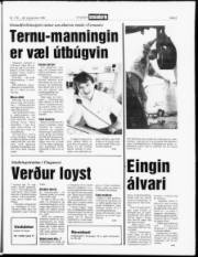 Síða 5