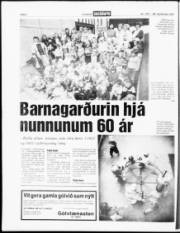 Síða 6