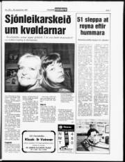 Síða 7