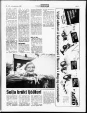 Síða 11