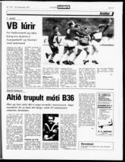 Síða 17