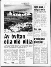 Síða 3