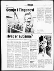 Síða 6