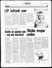 Síða 18