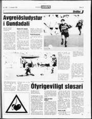 Síða 19
