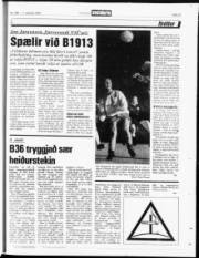 Síða 21