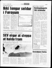 Síða 3