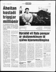 Síða 5