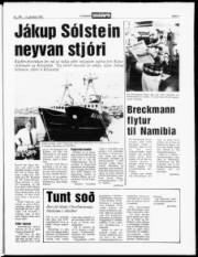 Síða 3