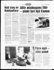 Síða 8