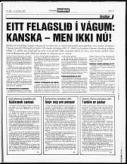Síða 11