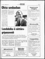Síða 13