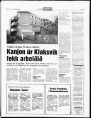 Síða 3