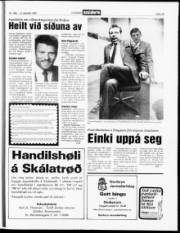 Síða 13