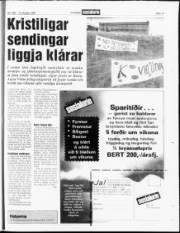 Síða 17