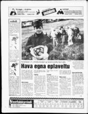 Síða 20