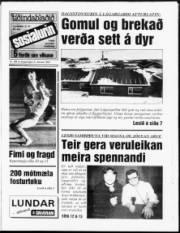 Síða 1