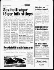 Síða 3